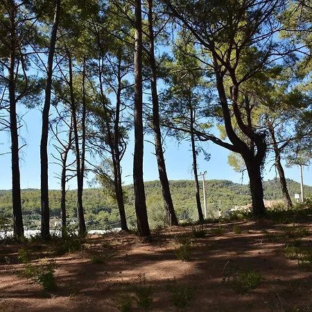 Resort Mutlu Bungalow & Campground Avsallar