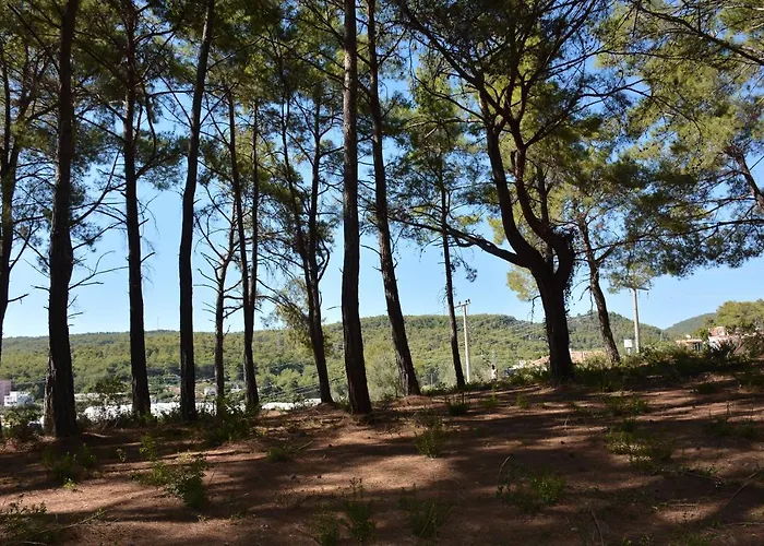 Resort Mutlu Bungalow & Campground Avsallar